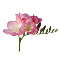 دسته گل فرزیا صورتی