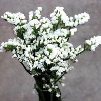 دسته گل زنبوری سفید