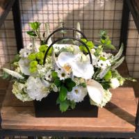 باکس کلاسیک سفید