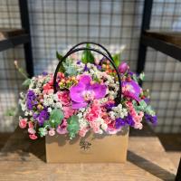 باکس کلاسیک کاهی