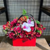 باکس کلاسیک قرمز