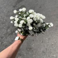 دسته گل آستر آستر سفید