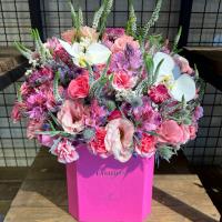 هارد باکس سرخ ابی