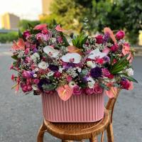 باکس فلورانس صورتی