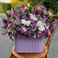 باکس فلورانس بنفش