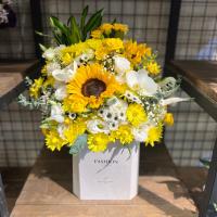 هارد باکس سفید زرد