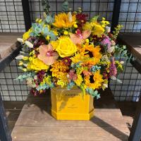 هارد باکس زرد