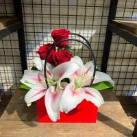 باکس رزین قرمز