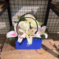 باکس رزین ابی