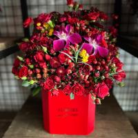 هارد باکس قرمز