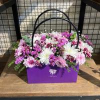 باکس ملورین بنفش