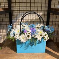 باکس ملورین ابی