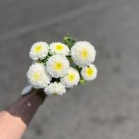 دسته گل مینا سفید