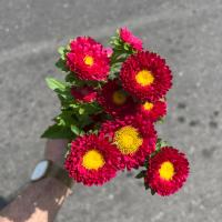 دسته گل مینا زرشکی