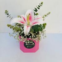 باکس گل لی لی