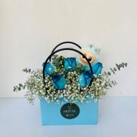 باکس ملورین آبی لبوبو