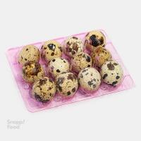 تخم بلدرچین