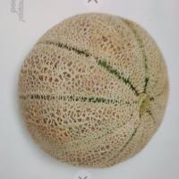 طالبی تو سبز ورامین