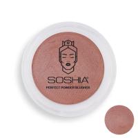 رژگونه سوشیا شماره 10