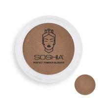 رژگونه سوشیا شماره 2