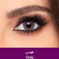 لنز چشم فرشلوک طوسی Gray