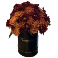 باکس گل ۹۰۱