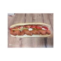 ساندویچ هات داگ مجاری