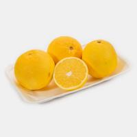 پرتقال ناول درجه 1