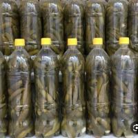 خیارشور بطری