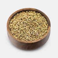 تخم گشنیز