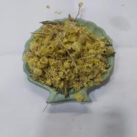 گل افسنطین