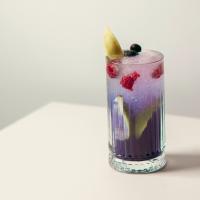 موکتل جیبسی