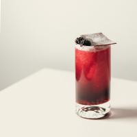 موکتل دِدپول