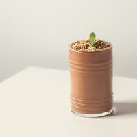 شیک پروتئین