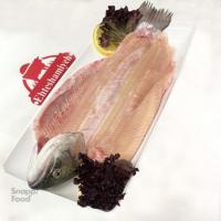 فیله ماهی قزل آلا