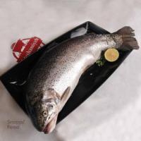 ماهی قزل الا درسته