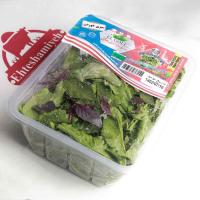 سبزی خوردن پاک شده