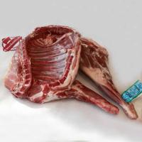 شقه گوسفندی 