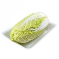 کاهو چینی ممتاز