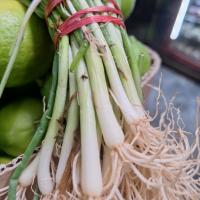 سبزی پیازچه