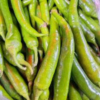 فلفل کاپی شیرین