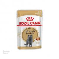 پوچ گربه بريتيش Royal Canin