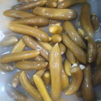 خیار شور ویژه پامچال