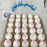 تخم مرغ سفید