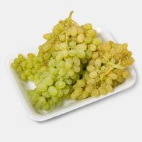 انگور بی دانه زرد ارومیه