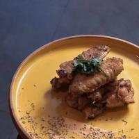 مزه بال سانتوکو