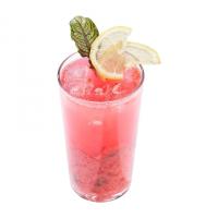 موکتل کاکتوس