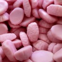 پاستیل مغز انسان