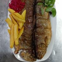 خوراک ماهی قزل الا سرخ شده