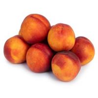 شلیل مجلسی (شیرین )